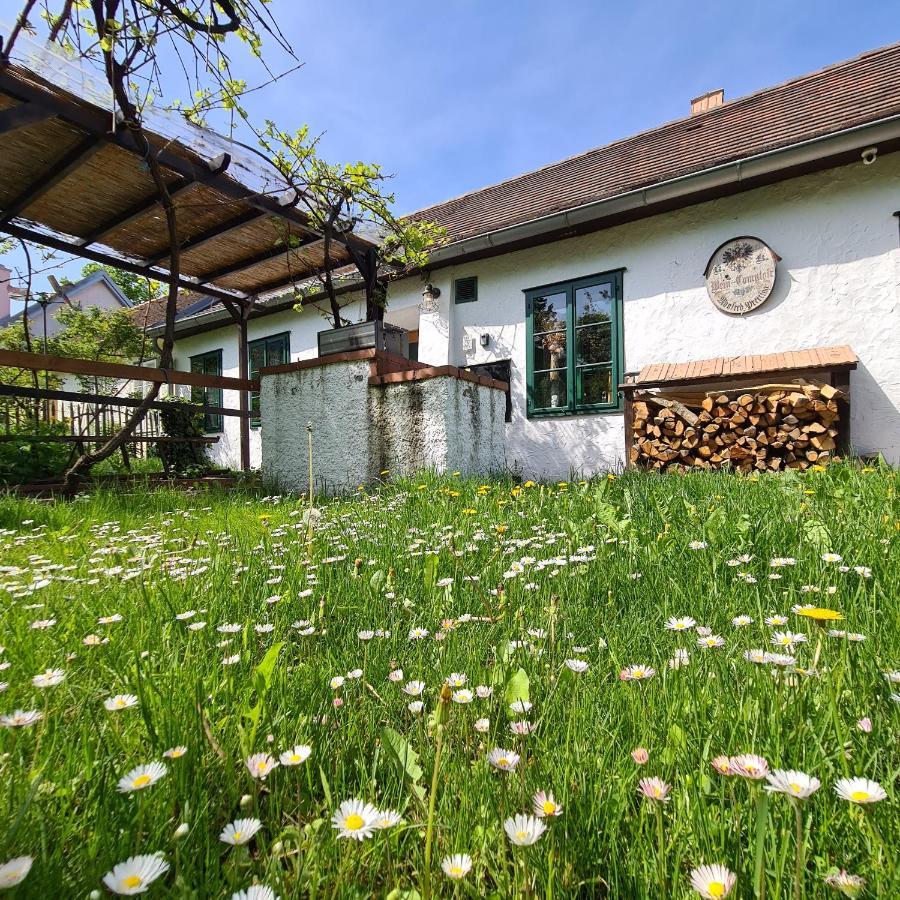 Landhaus Nitsch Appartement - Gaestehaus Nitsch Appartement Prinzendorf an Der Zaya Bagian luar foto