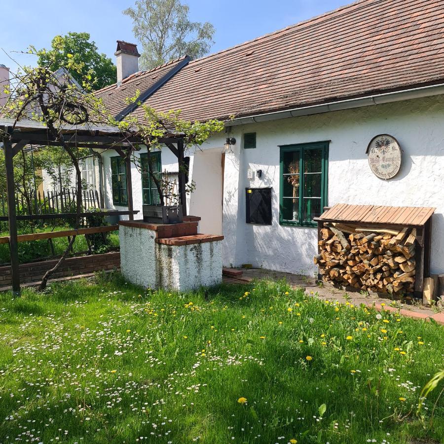 Landhaus Nitsch Appartement - Gaestehaus Nitsch Appartement Prinzendorf an Der Zaya Bagian luar foto